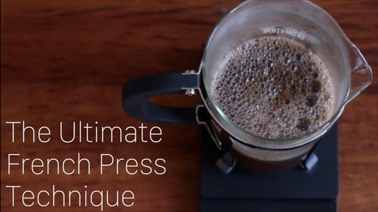 french press filled with coffee